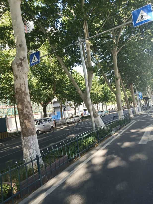 標(biāo)志桿案例